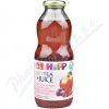HiPP Šípkový čaj+ovocná šťáva BIO 4/6m 500ml