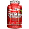 AMIX Creatine Monohydrate 500 kaps