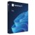 Windows 11