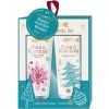 PXG Pharma GmbH TAKE TIME Darčekový set Hand&Body Shea&Kumquat krém na ruky a telo 50 ml + cukrový peeling 50 ml, 1x1 set