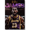 LeBron James basketbalový obraz