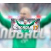 Handball 17