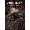 Zaklínač: Blednoucí vzpomínky - Bartosz Sztybor