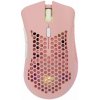 White Shark Lionel Pink WGM-5012