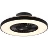 Trio R62672132 LED stropné svietidlo s ventilátorom Halmstad 1x40W | 3000lm | 3000 - 6500K - oddelené vypínače, diaľkové ovládanie, stmievateľné, 3 rýchlosti, časovač, nočný režim, čierna