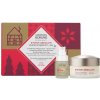 Annemarie Börlind Denná vianočná sada SYSTEM ABSOLUTE Denný krém 50ml + anti-aging sérum 15ml ZADARMO 50 ml + 15 ml