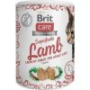 Brit Care Superfruits Lamb 100 g