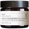 Evolve Organic Beauty - Intense Hydrating Mask - Intenzívna hydratačná maska na tvár - 60 ml