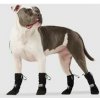 Botičky sada Canada Pooch 6 černé 4 ks