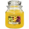 Yankee Candle Tropical Starfruit 411 g