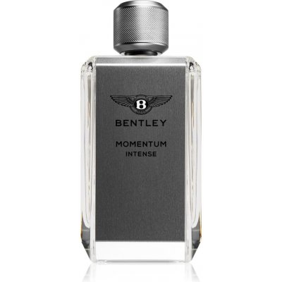 Bentley Momentum Intense parfumovaná voda pre mužov 100 ml