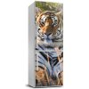 Nálepka fototapeta chladnička Tiger 60x180 cm
