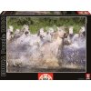Educa Puzzle Genuine White Camargue Horses 1000 dielikov 15988 farebné