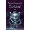 Zaklínač VII. : Paní jezera - Andrzej Sapkowski