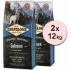 CARNILOVE Salmon Adult 2 x 12 kg