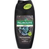 Palmolive for Men Refreshing sprchový gel 250 ml