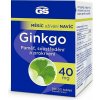 GS Ginkgo 40 mg, 90 + 30 tabliet