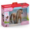 Schleich 42621 Výstavní achaltekinský hřebec