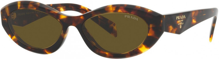 Prada Pr 26ZS 14L09Z