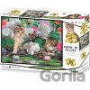 PRIME 3D puzzle Medzi pivonkami 48 ks