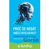 Proč se nebát umělé inteligence? - David Černý