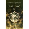 Zaklínač IV. : Čas opovržení - Andrzej Sapkowski