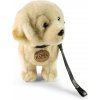 Rappa Plyšový pes zlatý retriever stojaci s vodítkom 25 cm ECO-FRIENDLY