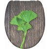 WELT SERVIS Schütte GINGKO und WOOD | Duroplast, Soft Close 4008431821542