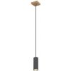 Globo 57911HG