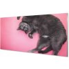 Nástenný panel ležiace mačka 100x50 cm