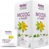 HERBEX Premium MOZOG A PAMÄŤ bylinná zmes čaj 20 x 1,5 g
