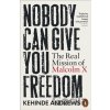 Nobody Can Give You Freedom - Kehinde Andrews