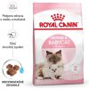 Royal Canin Mother&Babycat granuly pre kotné alebo kojace mačky a mačiatka 2 kg