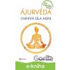 E-kniha Ájurvéda - Claire Paphitisová