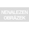 Ecoiffier Uklízecí vozík