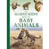 The Magnificent Book of Baby Animals (Simon Treadwell)(Pevná)
