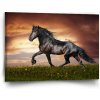 Sablio Obraz Frišský kôň - 90x60 cm