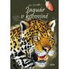 Jaguár v kocovině - Dungel Jan