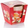 Bartek Candles Christmas Time jablko a škorica Vonná sviečka 115g
