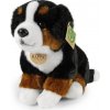 Rappa bernský salašnický pes sedící 200845 25 cm