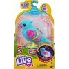 Little Live Pets štebotajúci vtáčik papagáj modrý