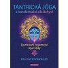 Tantrická jóga a transformační síla Bohyně - David Frawley