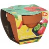 Buzzy Grow Gifts - Minisúprava na pestovanie papriky - Pieterpik - 1 ks