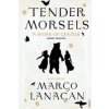 Tender Morsels (Margo Lanagan)(Brožovaná)