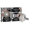 Maison Berger Paris Black Angelica