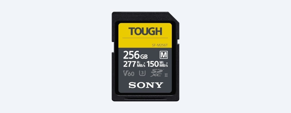 Sony SDXC Class 10 256GB SFM256T