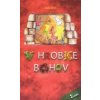 V hrobke bohov - Stela Brix