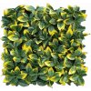 ILEX VG, dielec 50 x 50 cm (Umelý živý plot - ostrolistá panašovaná Cezmína)