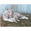 Maľovanie podľa číselného Biely tiger s mláďaťom