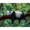 zuty Maľovanie podľa čísel - Panda ležiaca na strome, 80x100 cm, vypnuté plátno na rám (8596530056317)